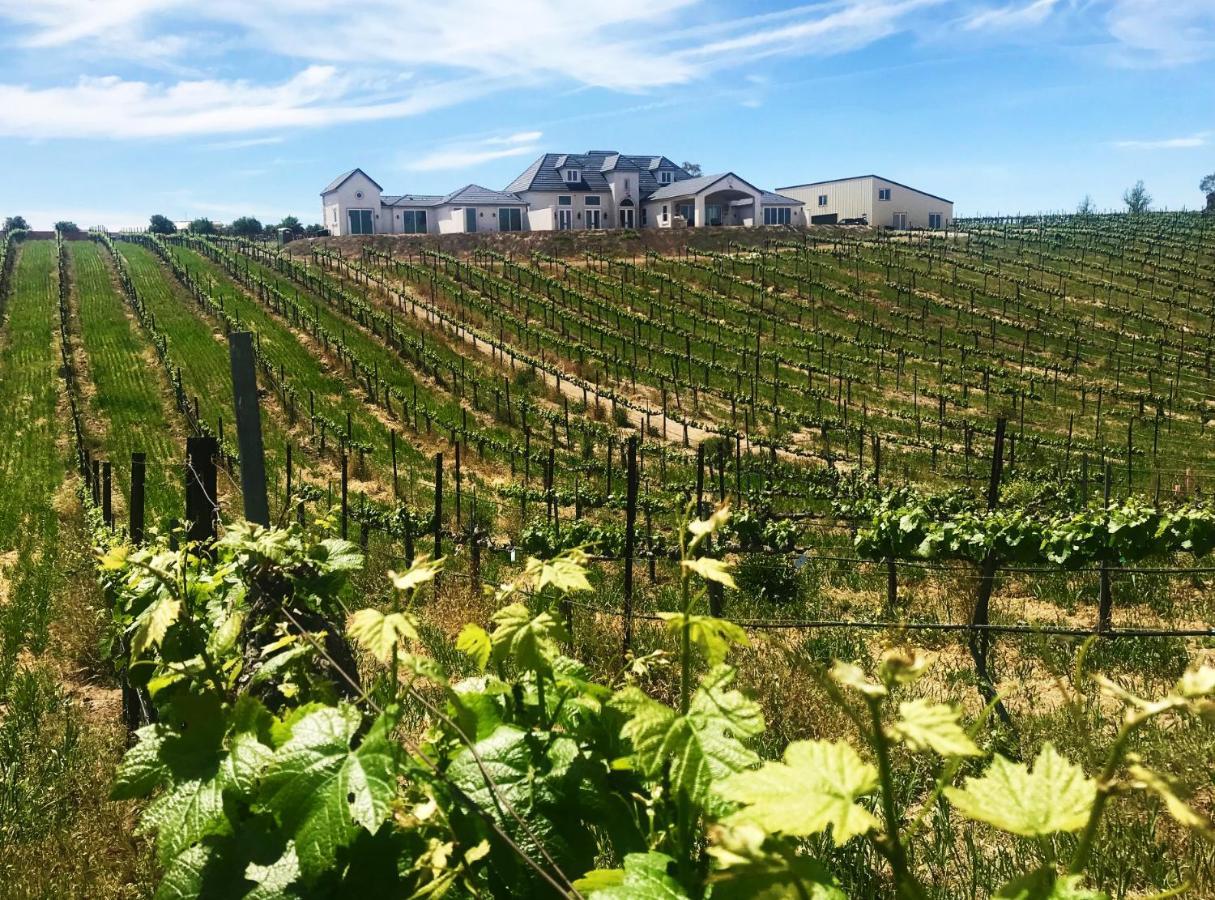 Domaine Chardonnay Bed & Breakfast Темекула Екстериор снимка
