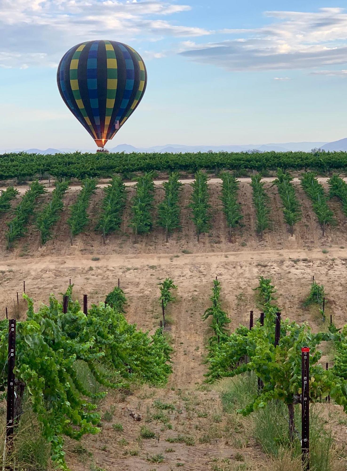 Domaine Chardonnay Bed & Breakfast Темекула Екстериор снимка