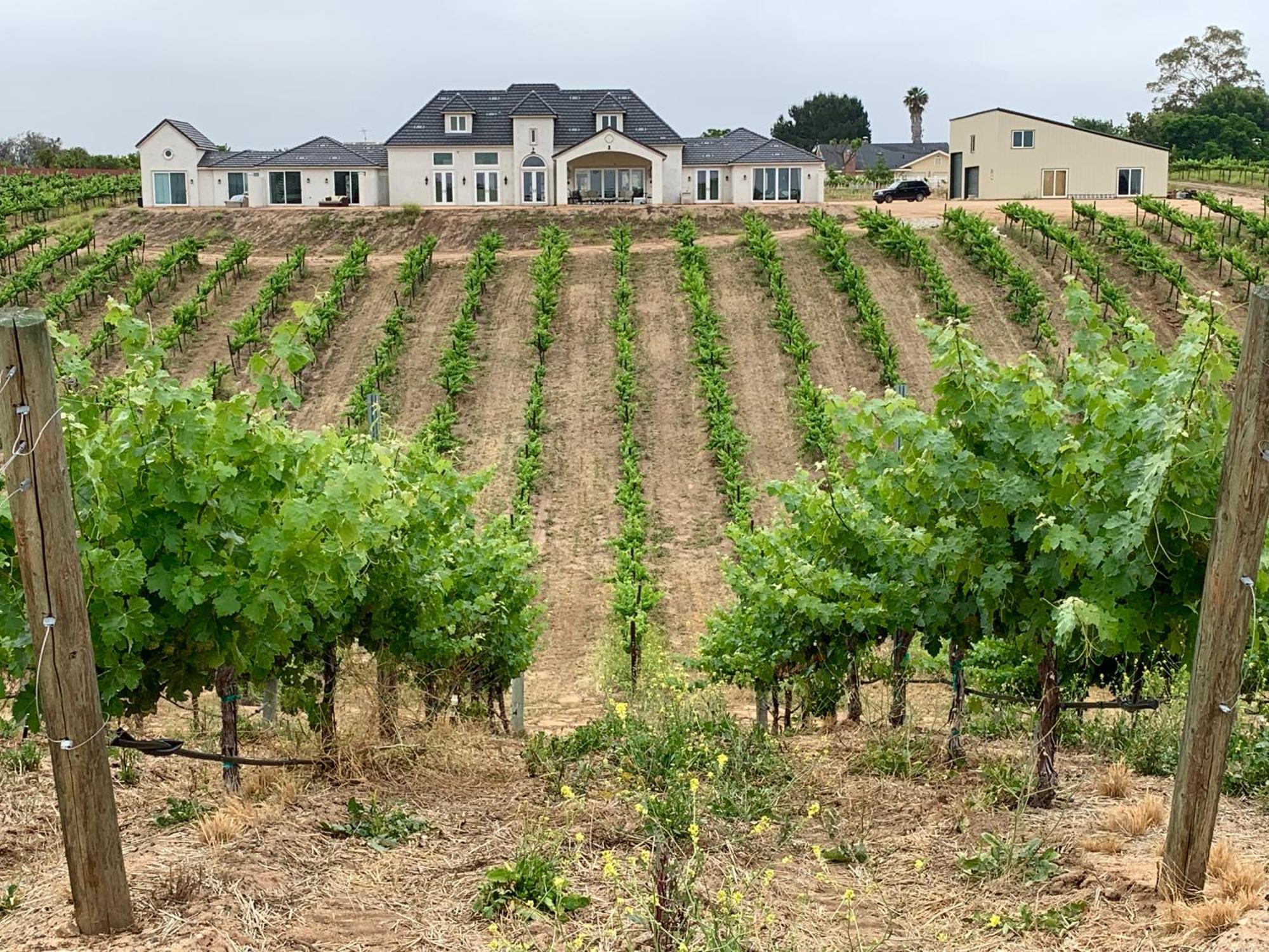 Domaine Chardonnay Bed & Breakfast Темекула Екстериор снимка